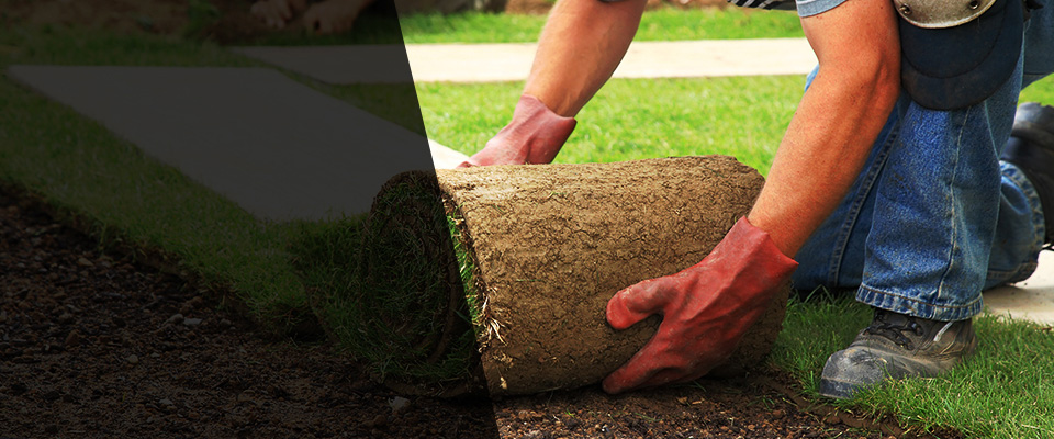 Danielson Landscapers